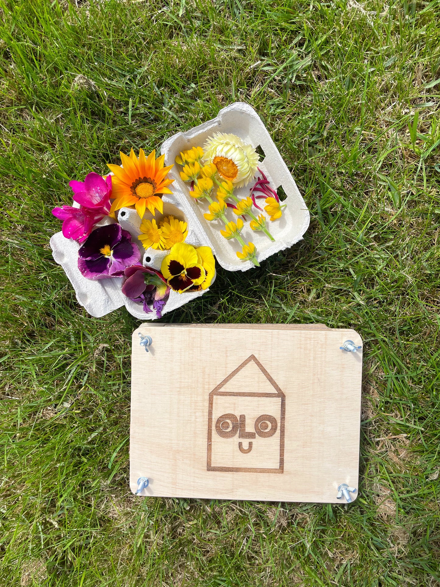 Color Square - Flower Press