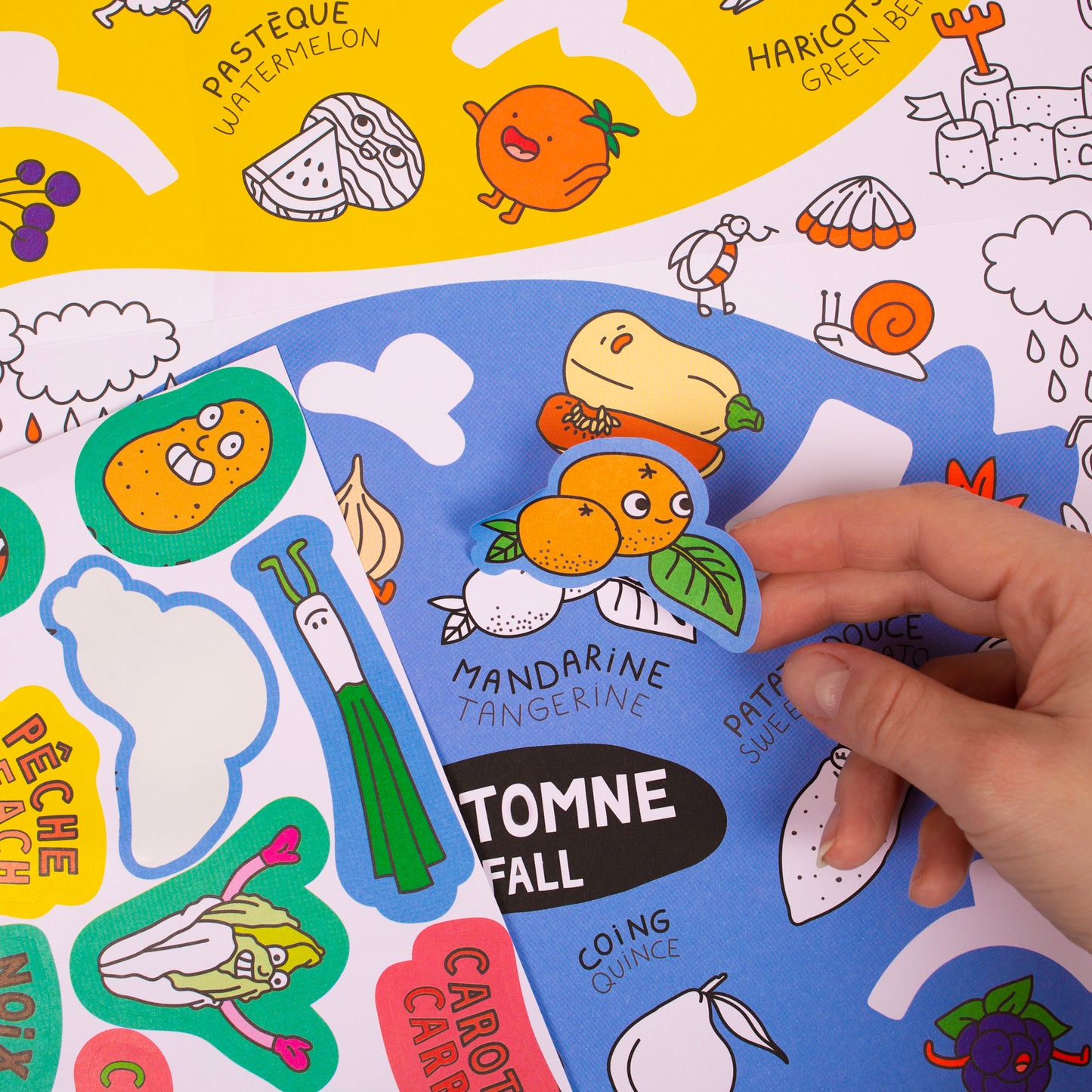 Omy - Fruits & Vegetables (Omy School)