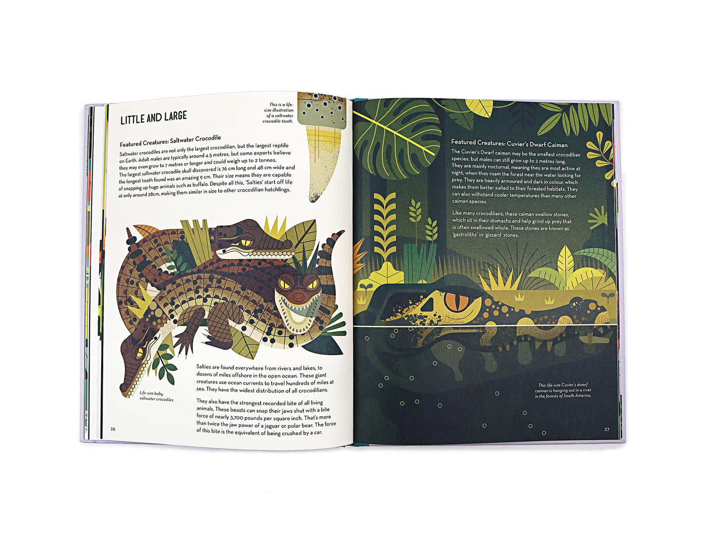 Curious about crocodiles, Davey, Owen