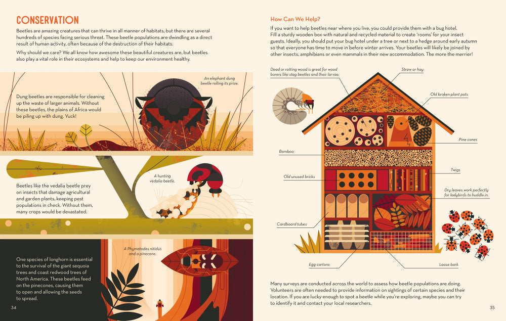 Bonkers about beetles , Davey, Owen