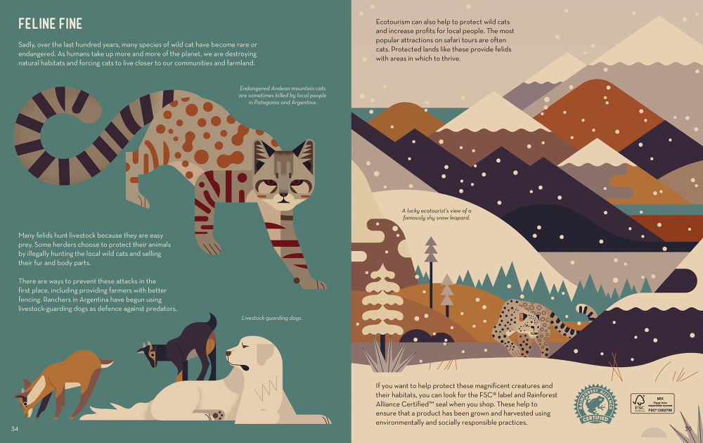 Crazy about cats - Davey , Owen