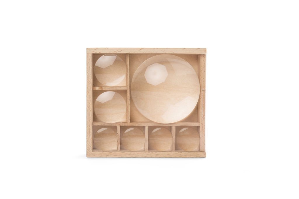 Kikkerland - Huckleberry Bug Box