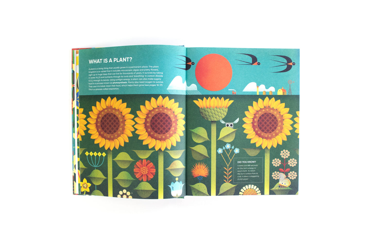 I ate sunshine for breakfast , Holand Michael