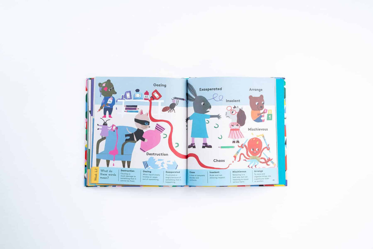 An Interesting Word for Every Day of the Year , Rowe, Dr Meredith L