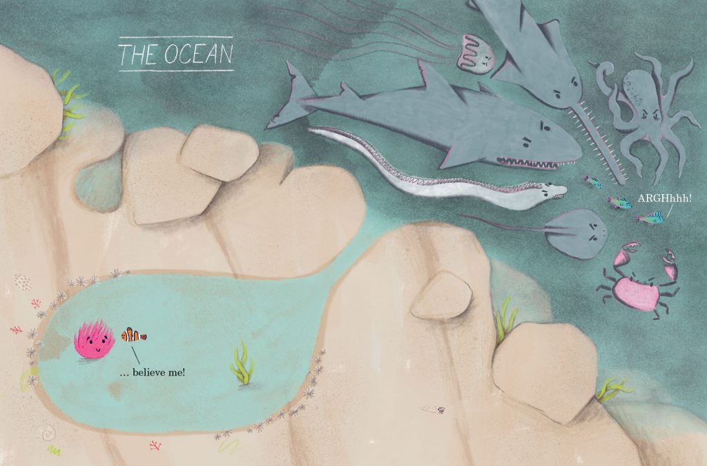 Anemone is not the enemy , Mc Gregor