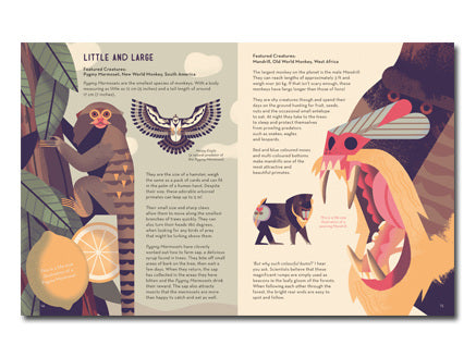 Mad about monkeys , Davey, Owen