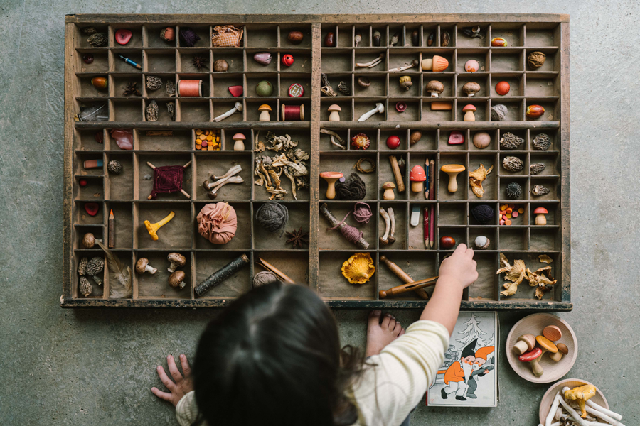 Grapat - Mushroom grove