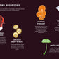 All About Mushrooms