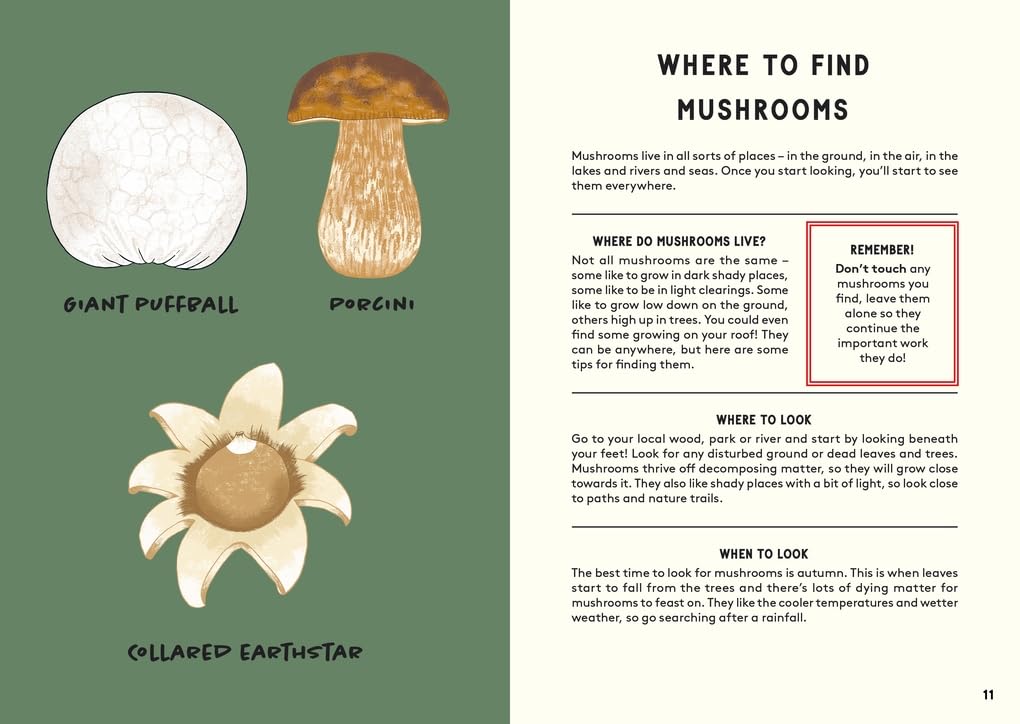 All About Mushrooms