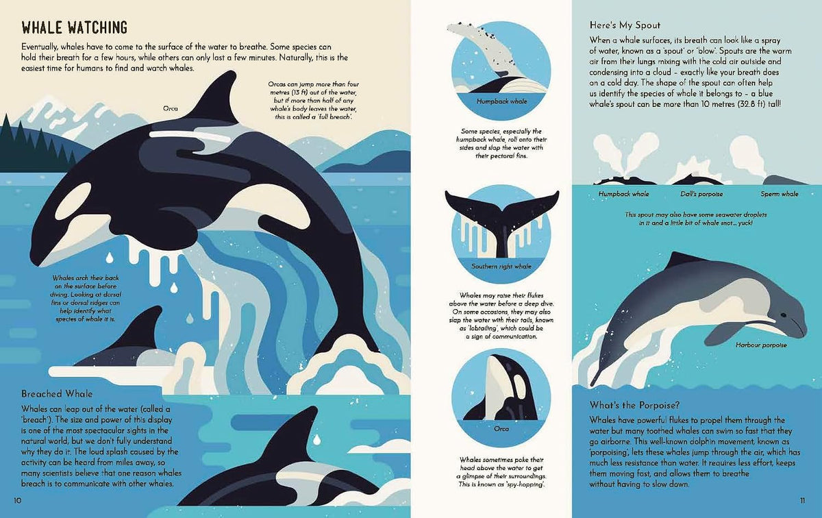Wild About Whales