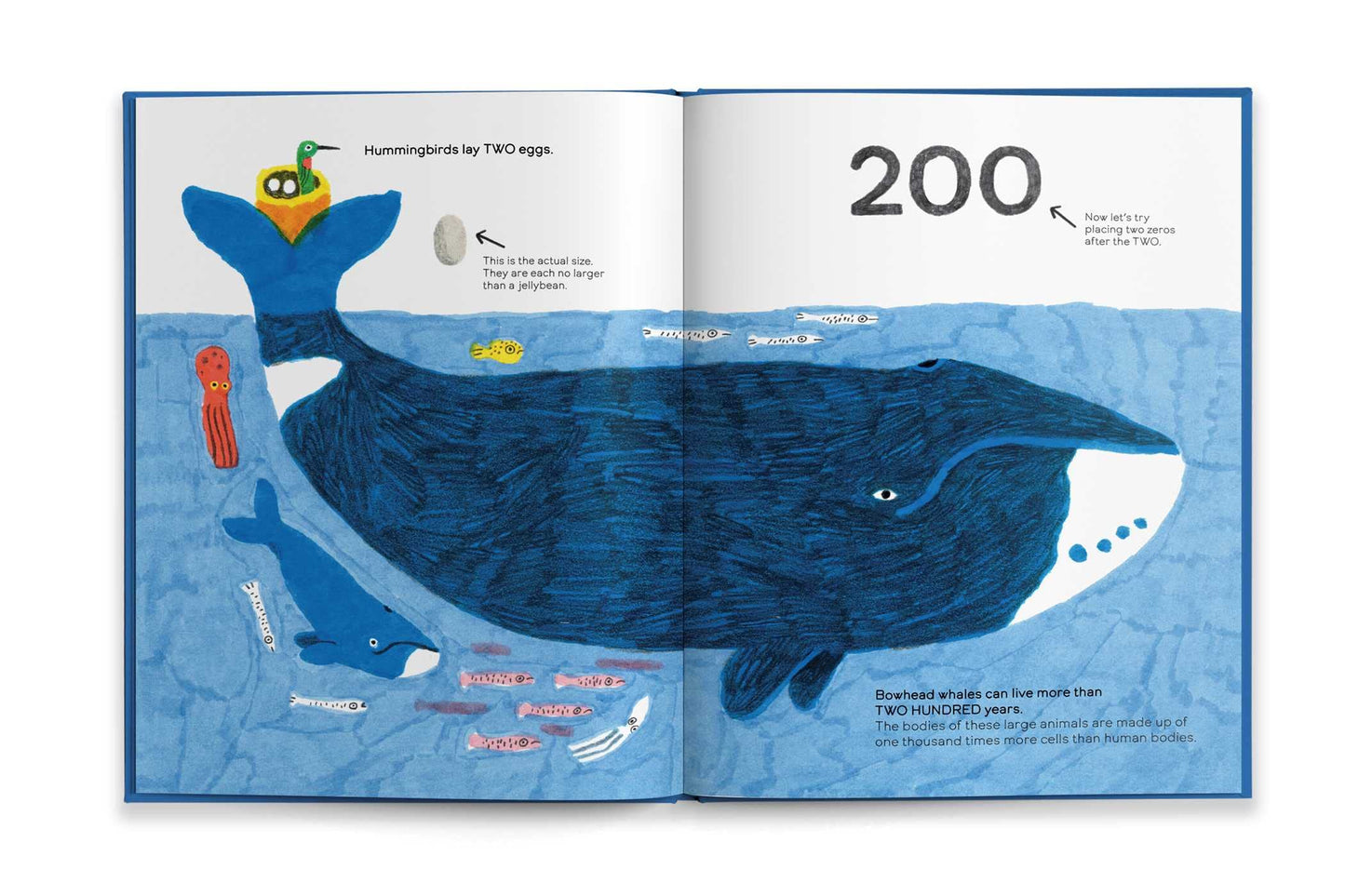 Octopuses Have Zero Bones: A Counting Book About Our Amazing World