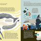 Wild About Whales
