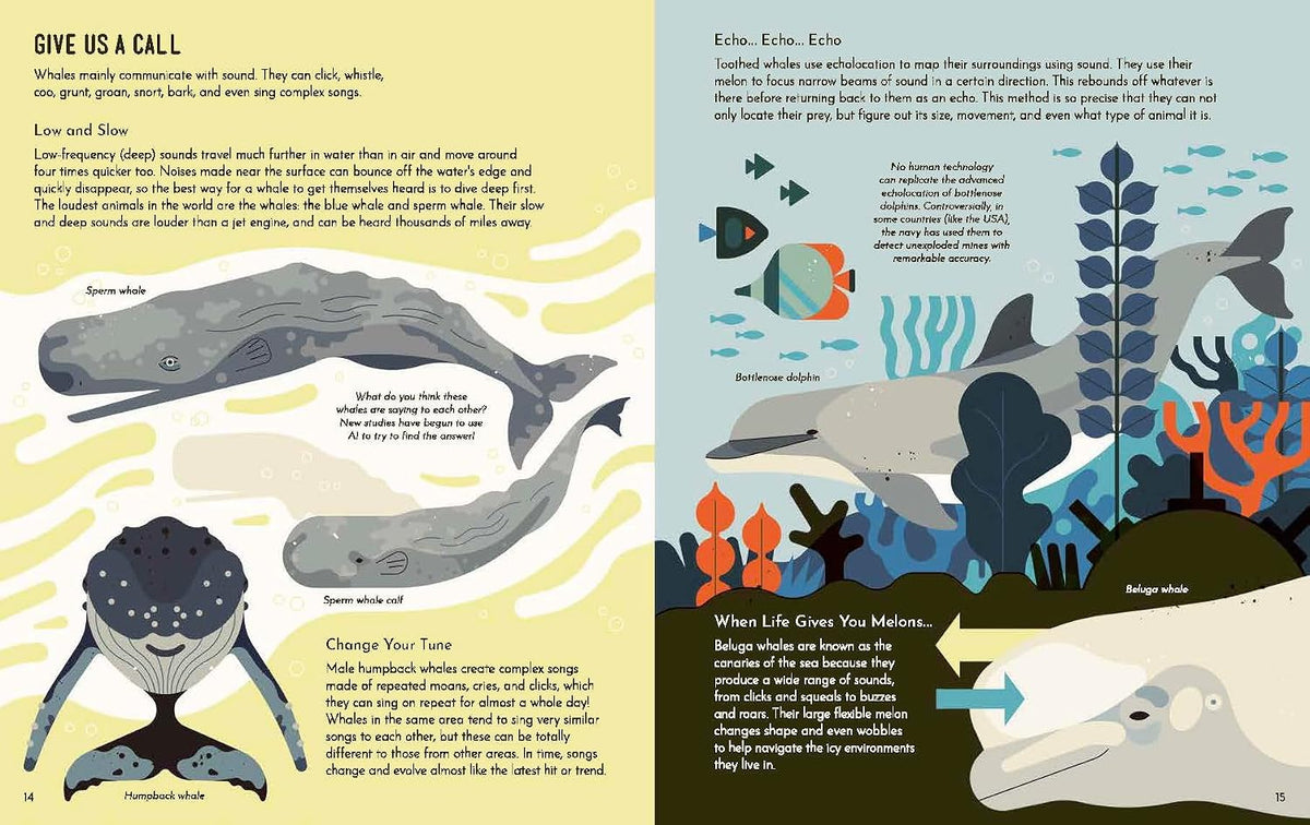 Wild About Whales