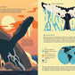 Wild About Whales