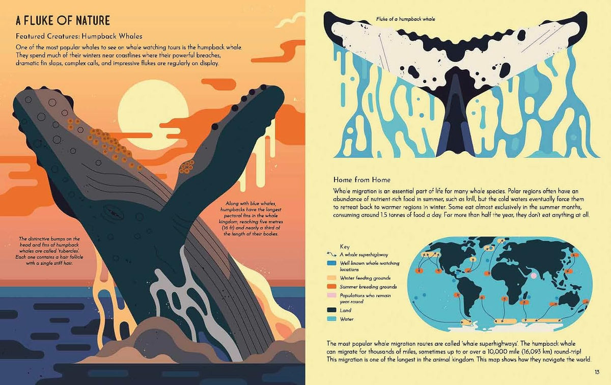 Wild About Whales