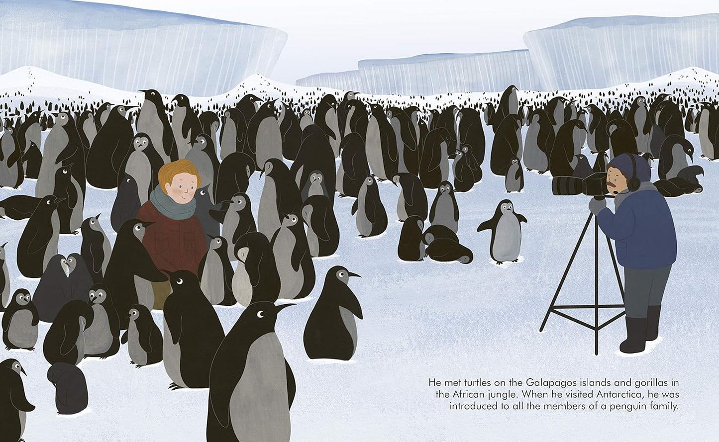 Little People, BIG DREAMS: Advent Calendar Book Collection: 2025 Edition