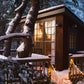 Christmas Hideaways