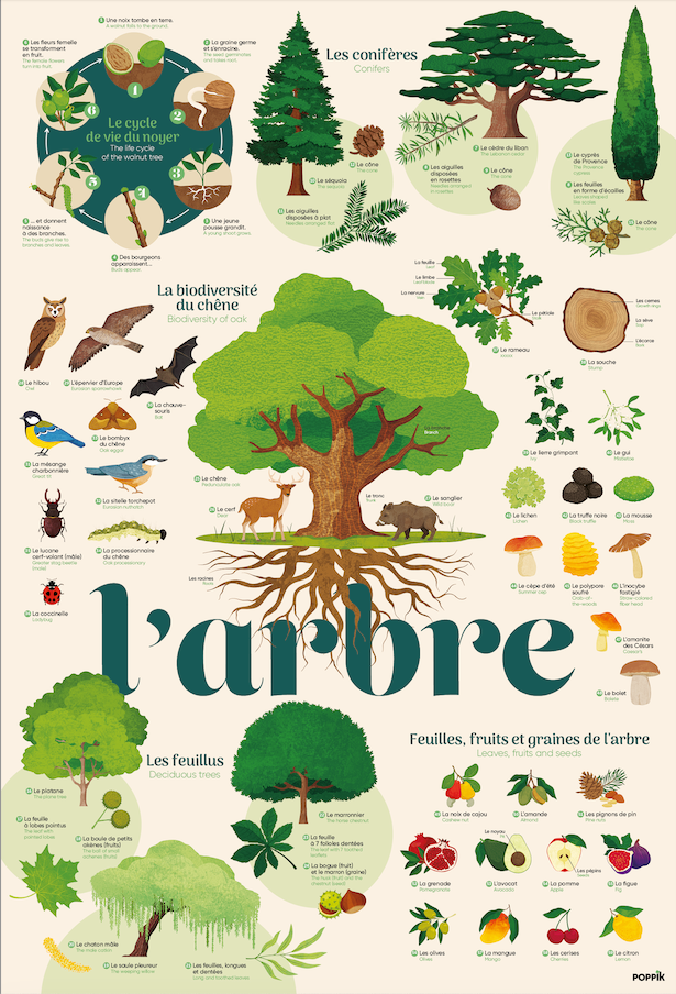 Poppik - Trees sticker poster