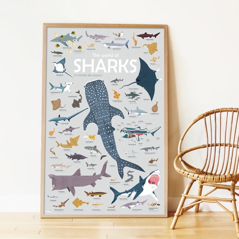 Poppik - Sharks sticker poster