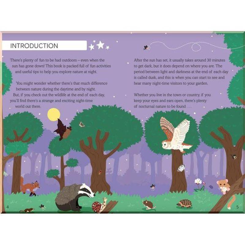 National Trust: Out and About Night Explorer : A children's guide to over 100 insects, animals, birds and stars , Swift