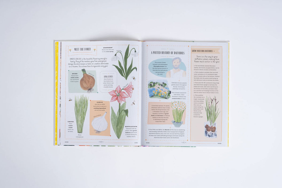 Grow Riz Reyes Grow, Rizanino , Reyes – colorsquare.net