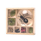 Kikkerland - Huckleberry Bug Box