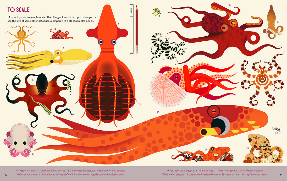 Obsessive about octopuses , Davey Owen