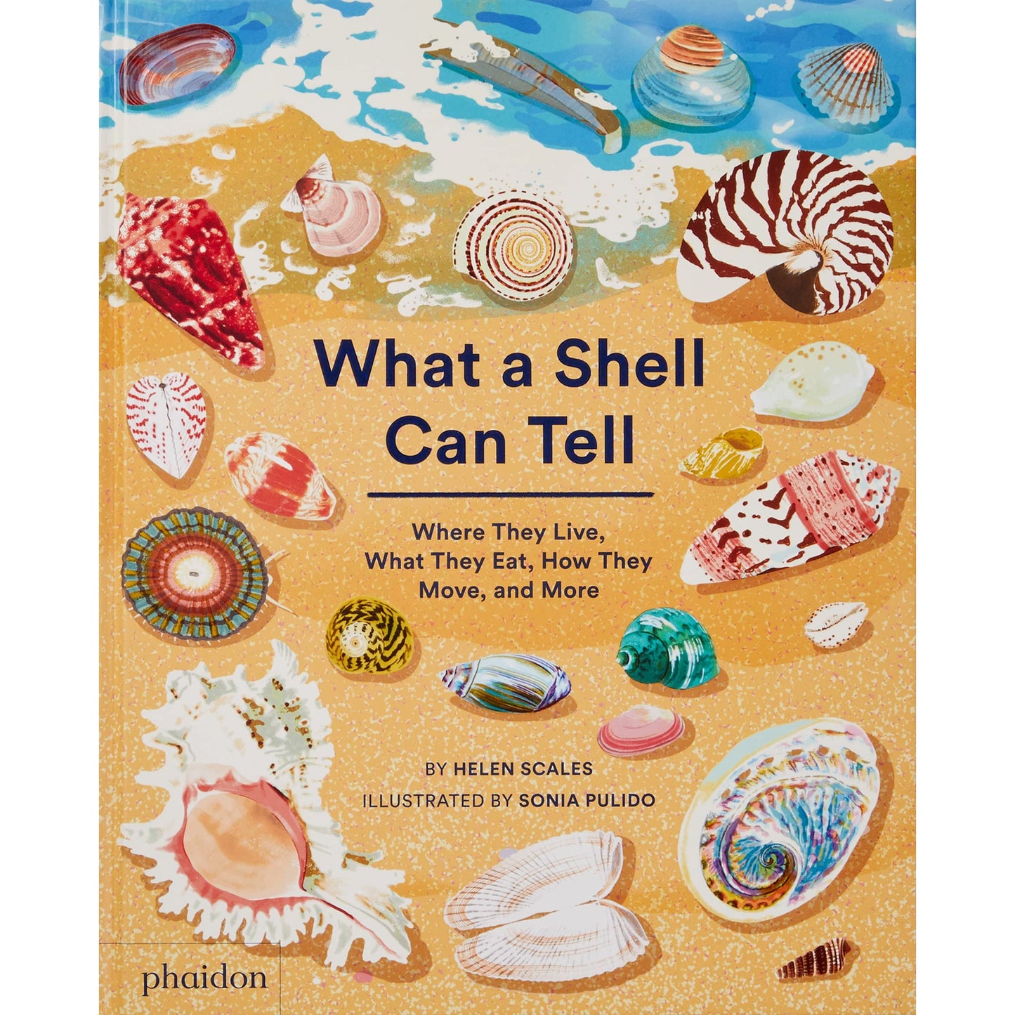 What A Shell Can Tell